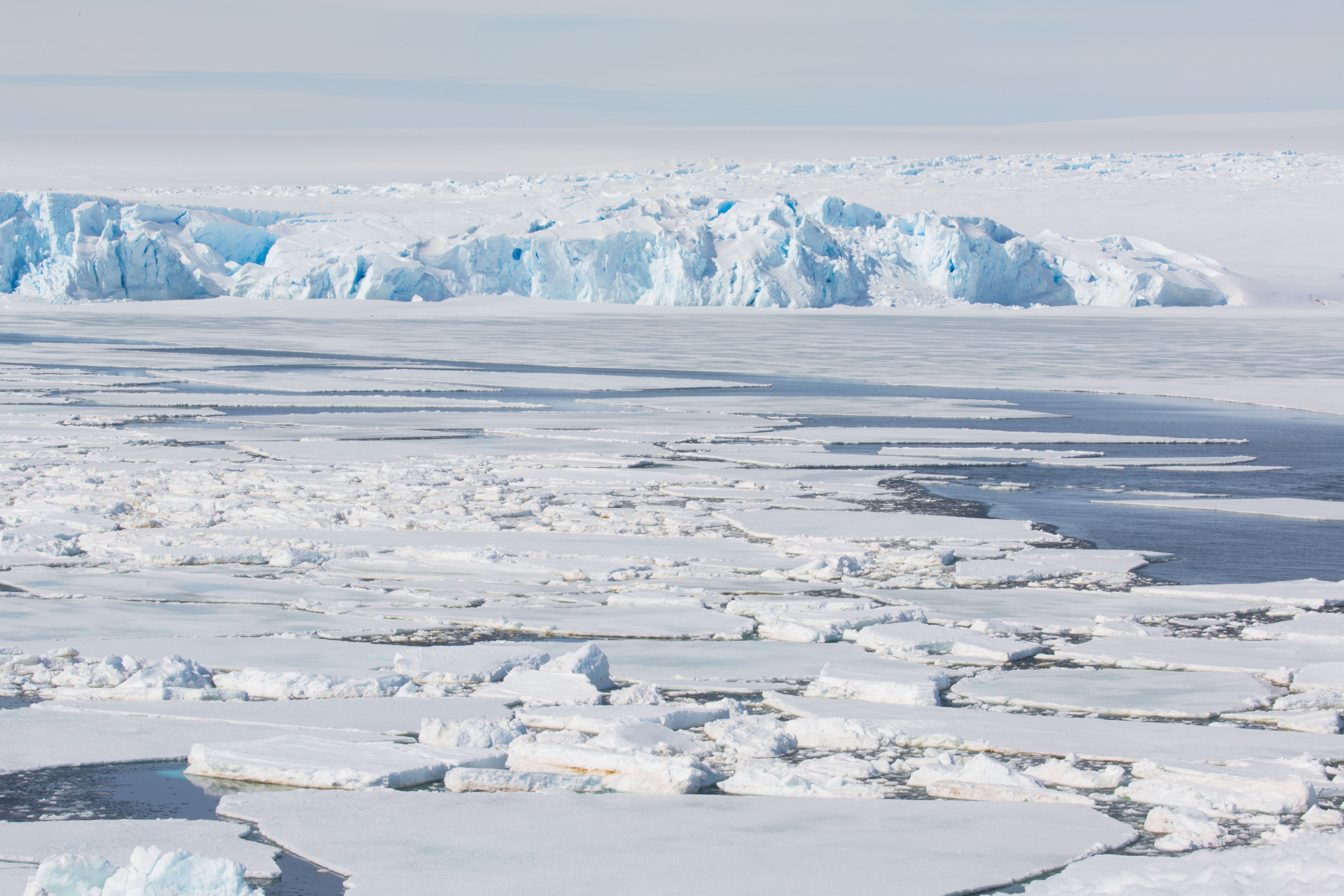 Hielo polar